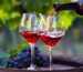 Red-wine-glass-barworld-India